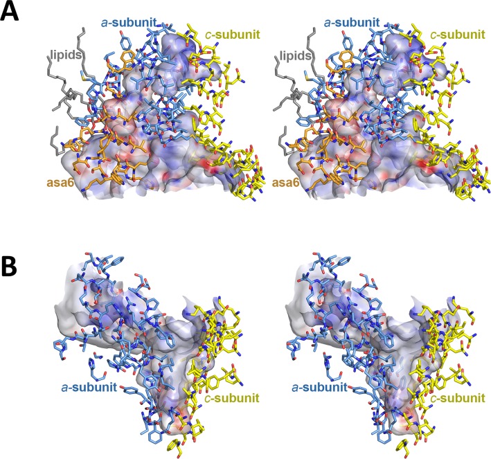 Figure 4—figure supplement 3.