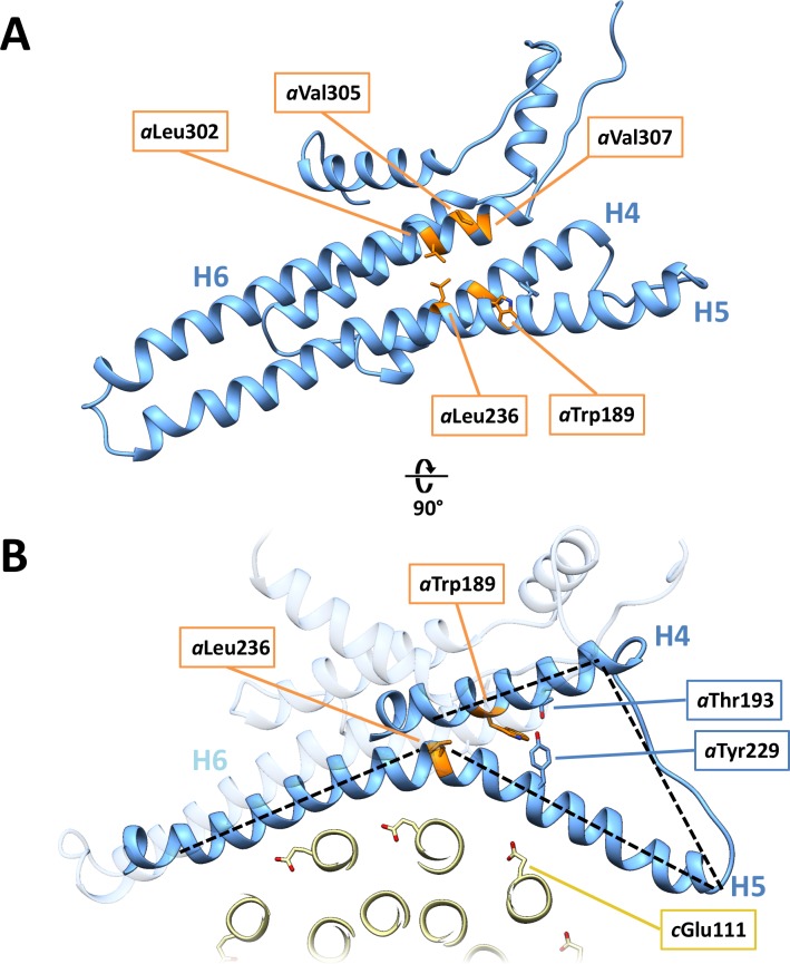 Figure 5—figure supplement 1.