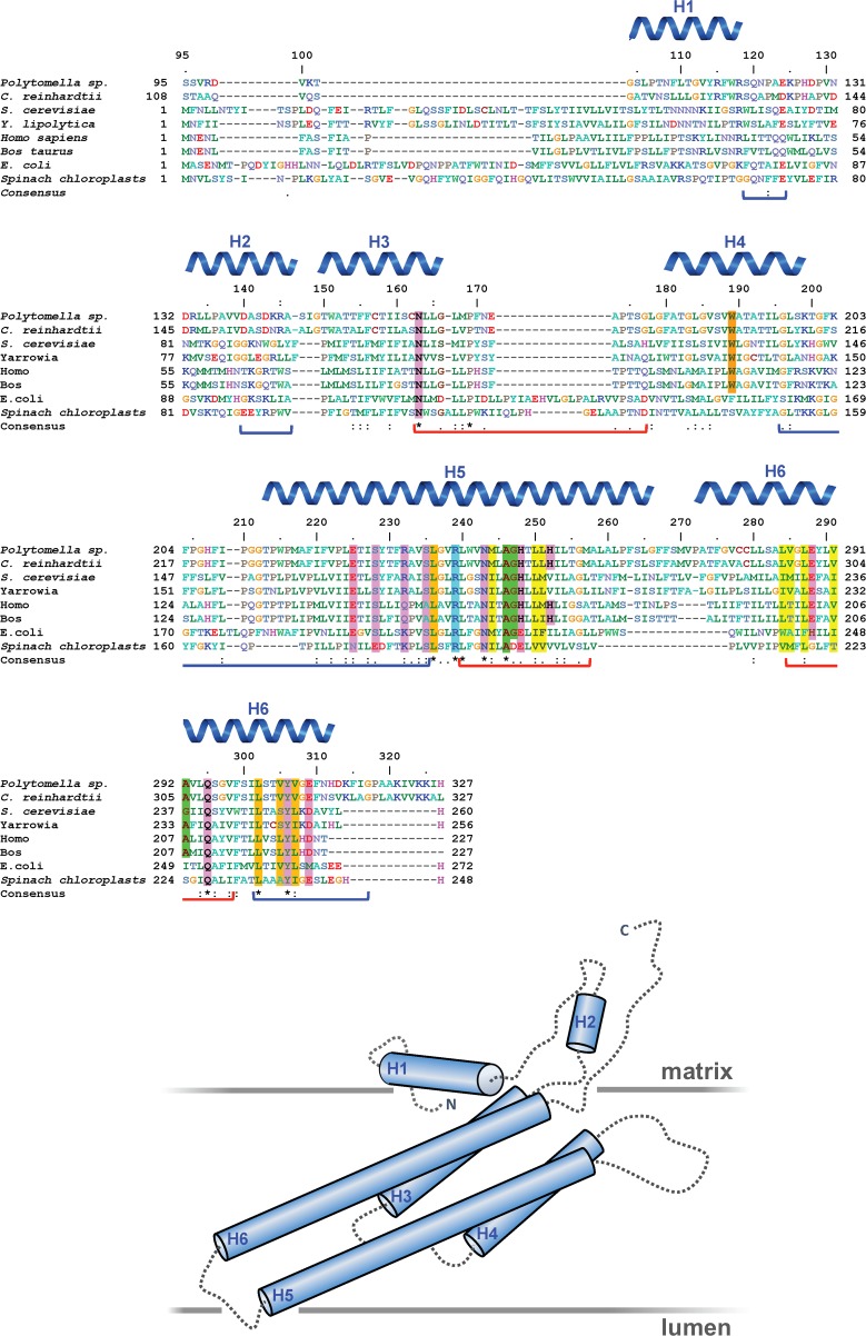 Figure 1—figure supplement 3.