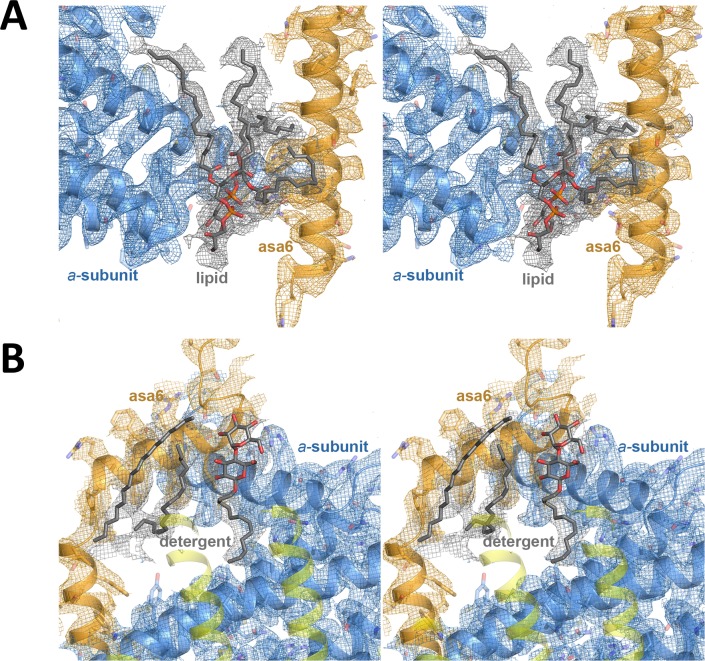 Figure 4—figure supplement 2.