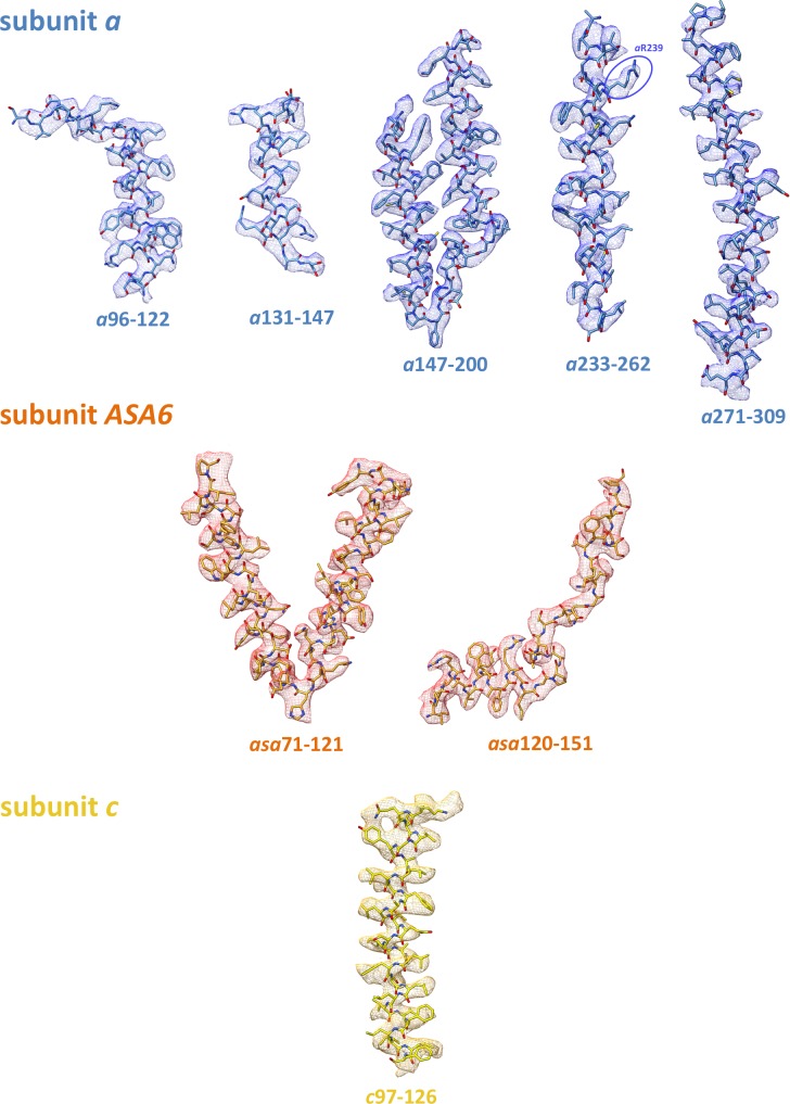 Figure 2—figure supplement 1.