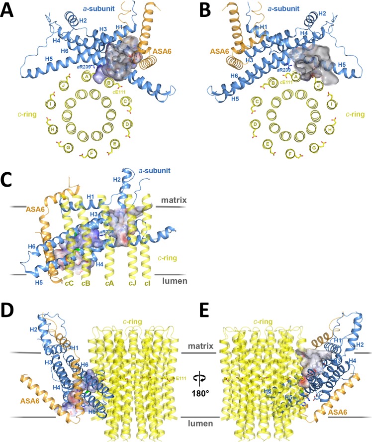 Figure 3.