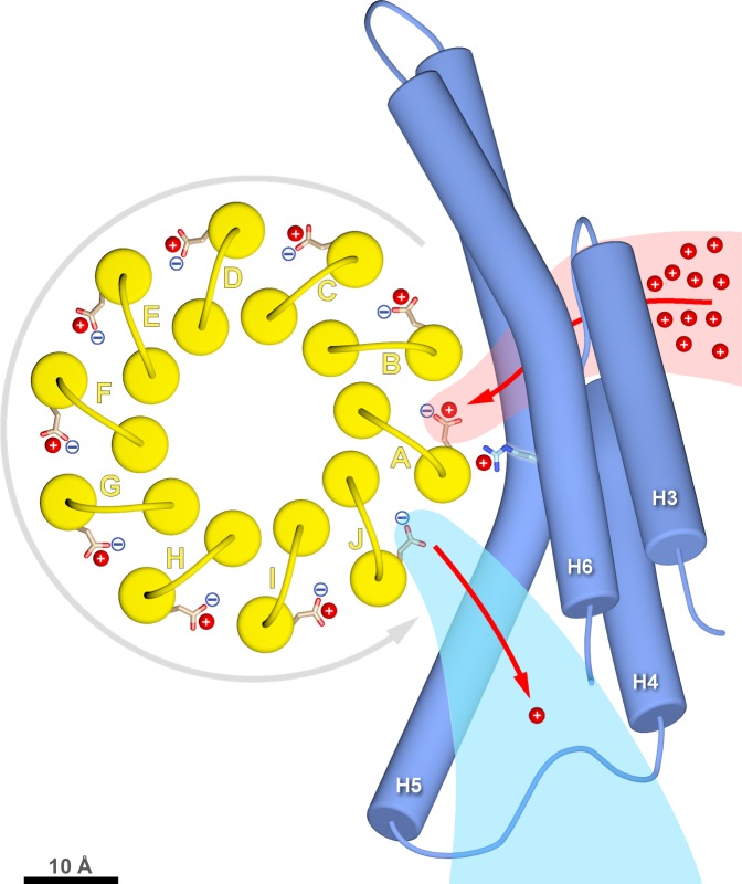 Figure 6.