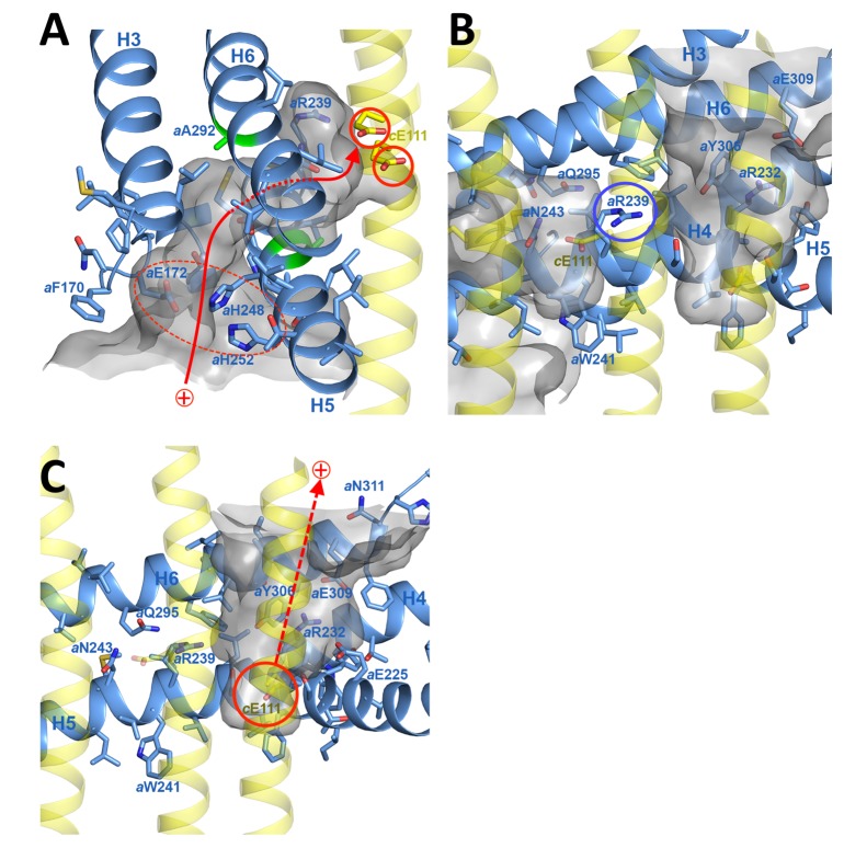 Figure 4.