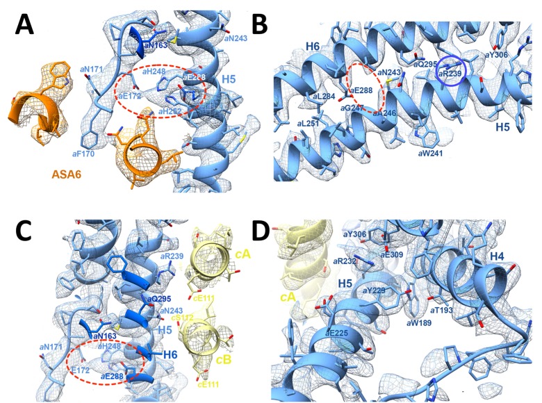 Figure 5.