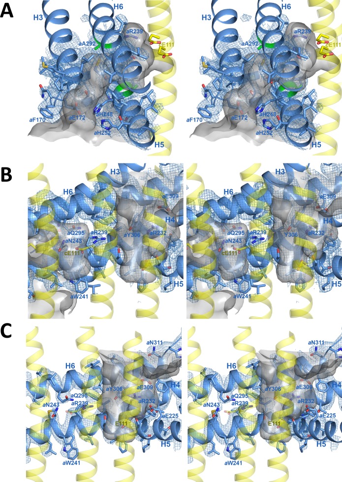 Figure 4—figure supplement 1.