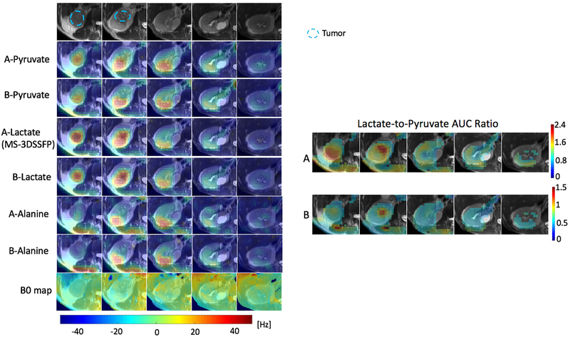 Figure 6: