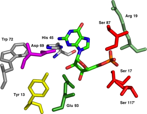 FIGURE 1.