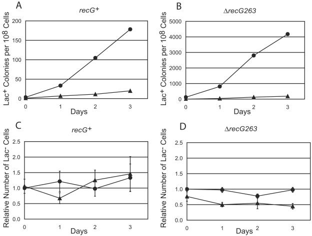 FIG. 2.