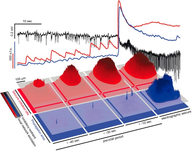 Figure 6.