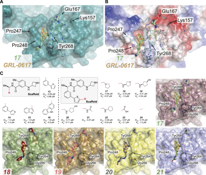 FIGURE 4