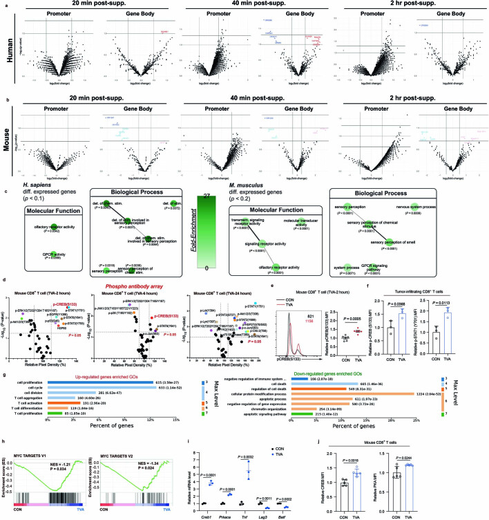 Extended Data Fig. 5