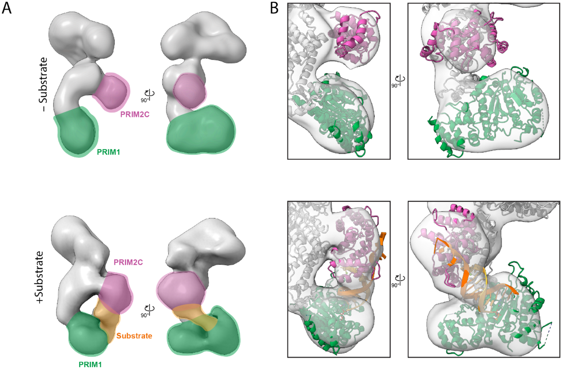 Figure 5.