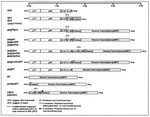 FIG. 1.