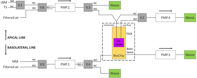 FIGURE 3