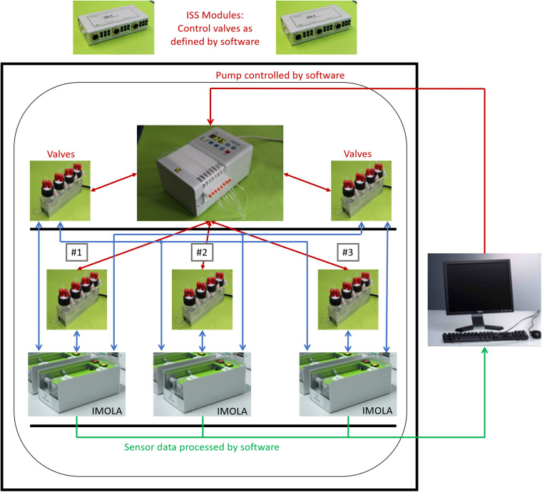 FIGURE 2