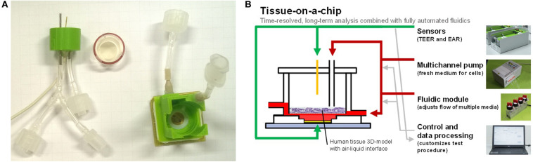 FIGURE 1