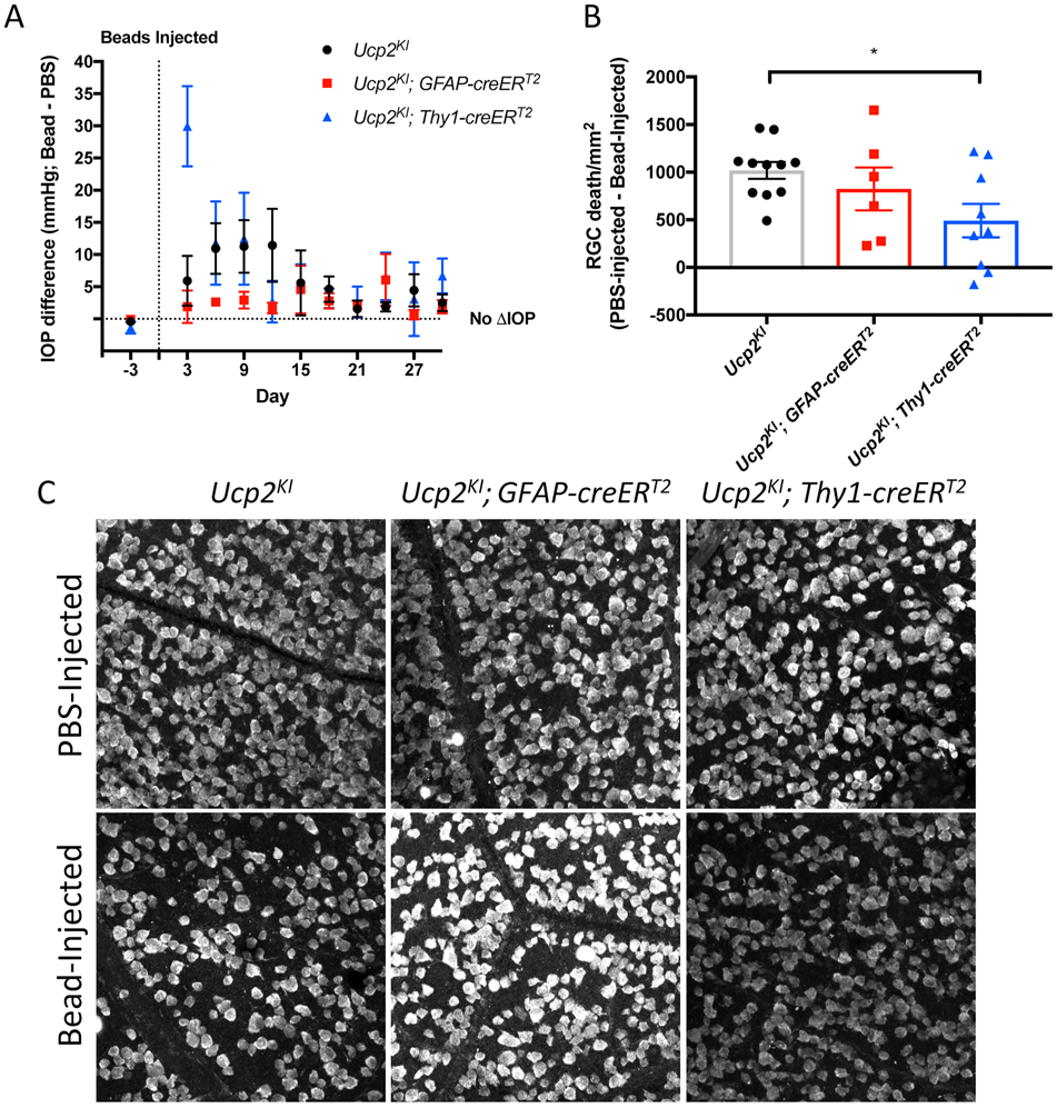 Figure 12.