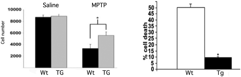 Figure 11.