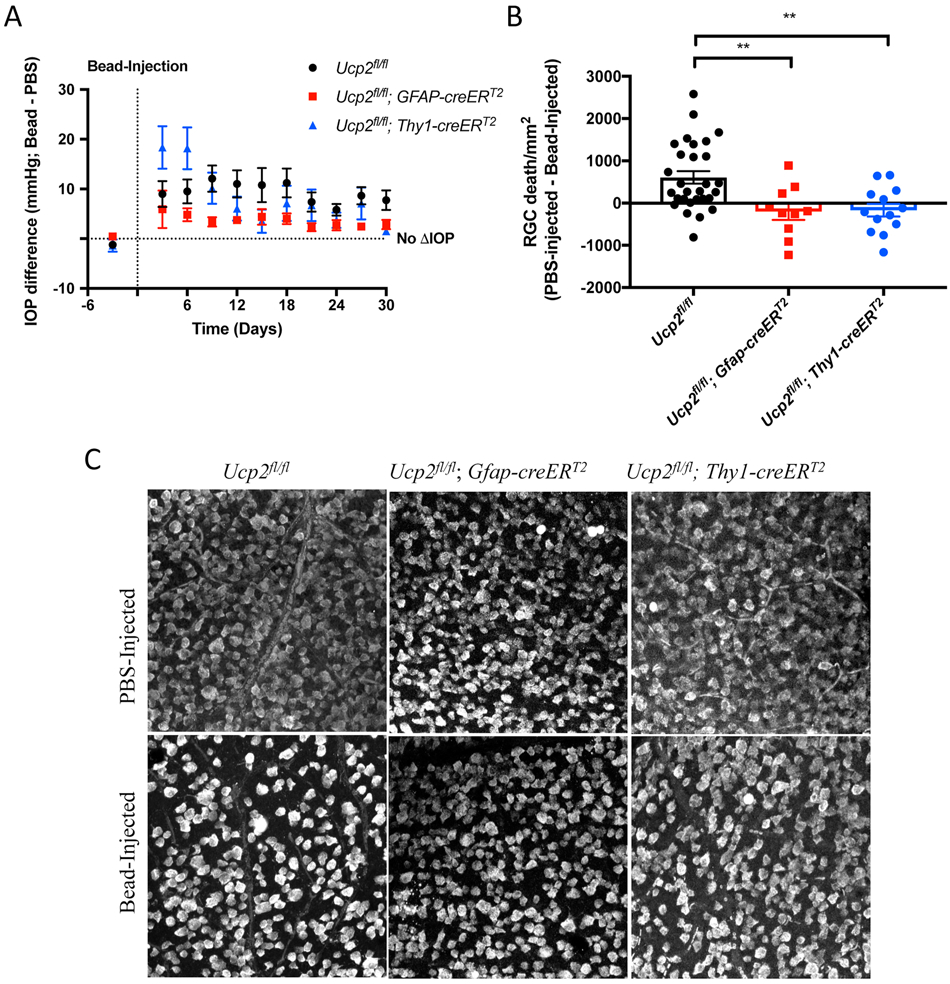 Figure 13.