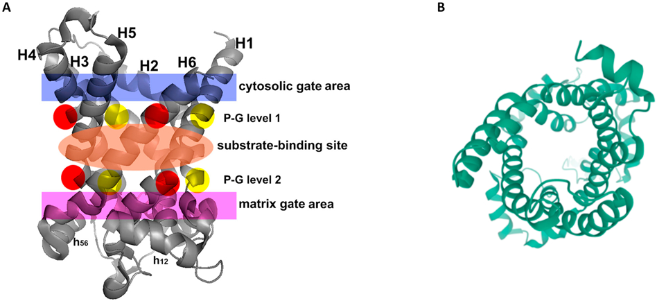 Figure 6.