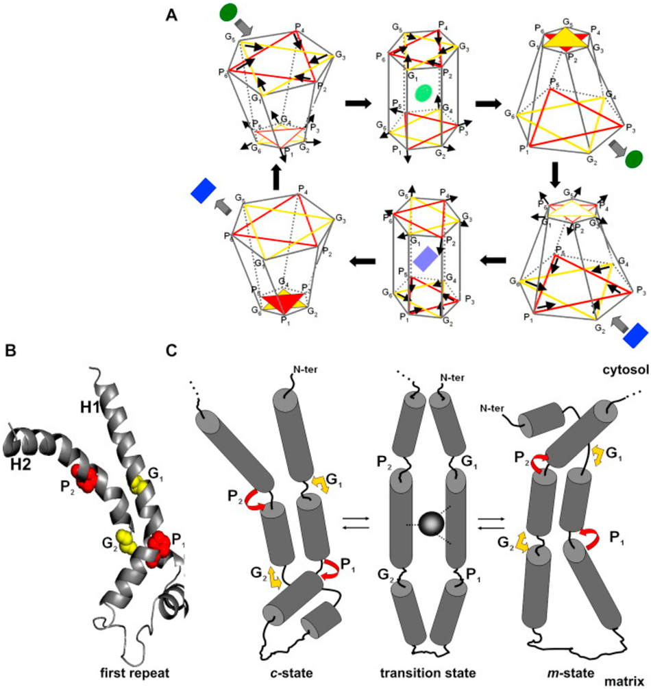 Figure 7.