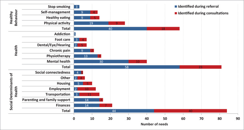 Patient needs categorized into groups, identified by referrals or consultations