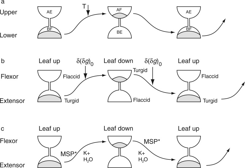 Fig. 29.