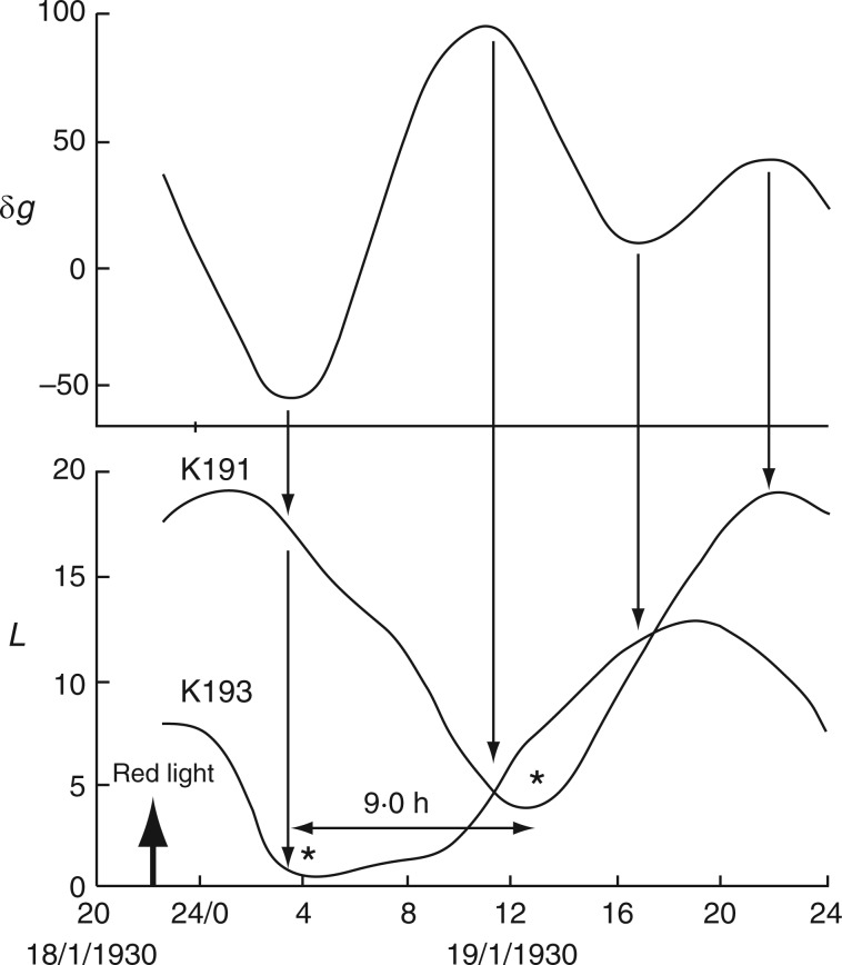 Fig. 8.