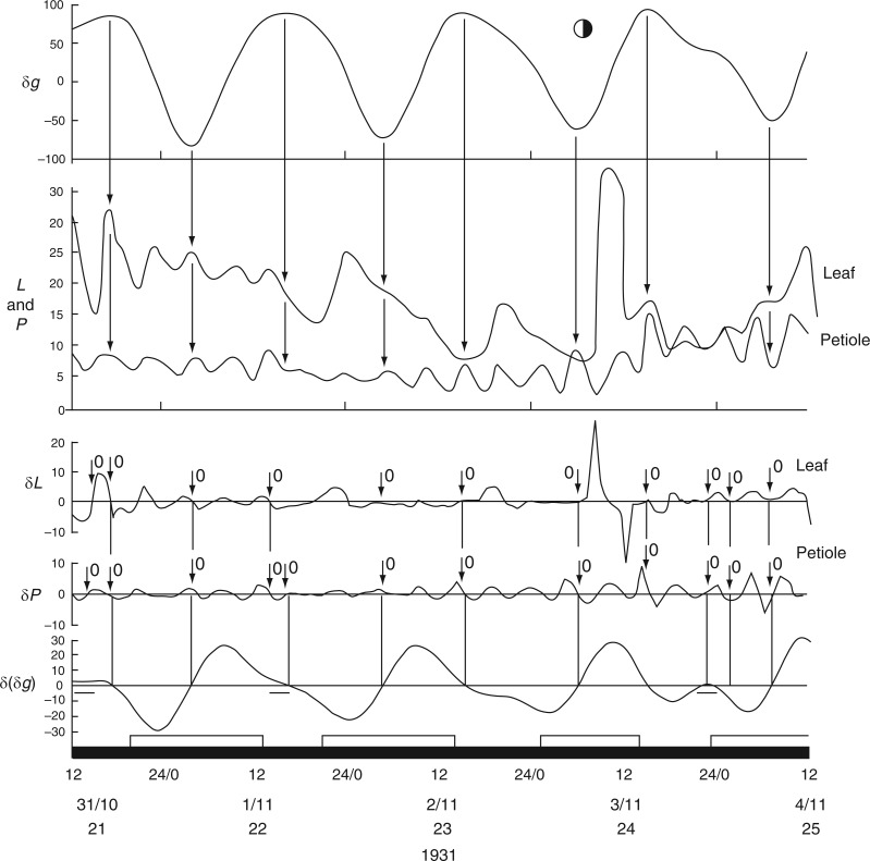 Fig. 23.