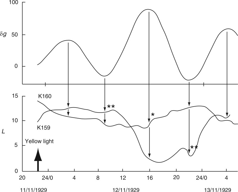 Fig. 9.