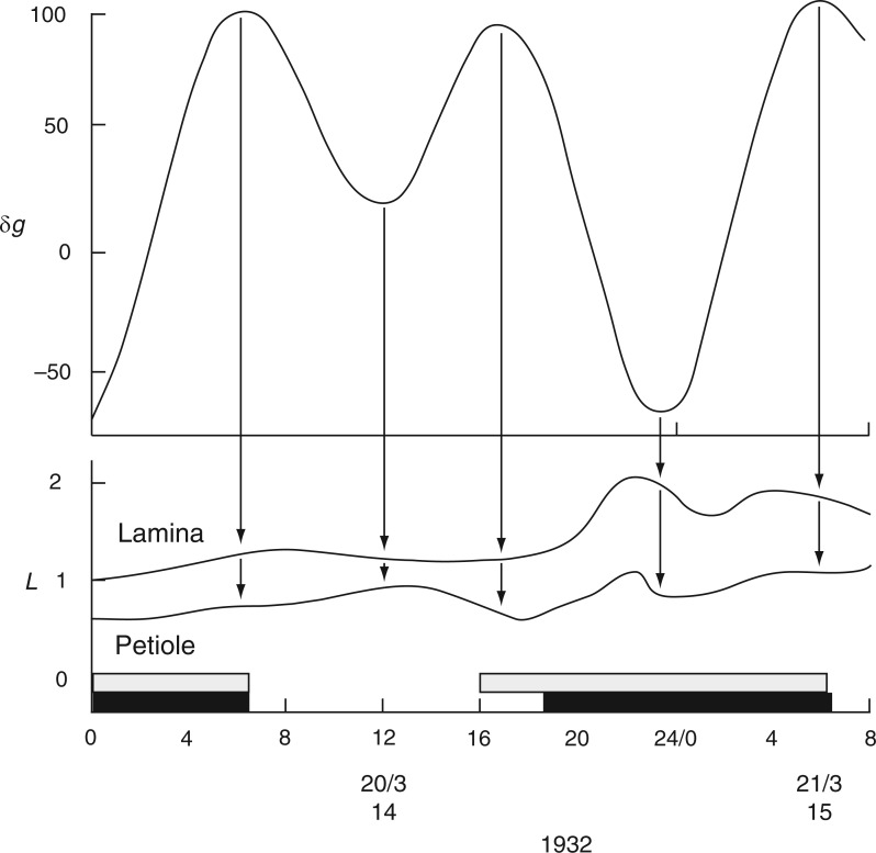 Fig. 11.