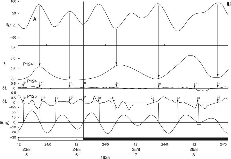 Fig. 25.