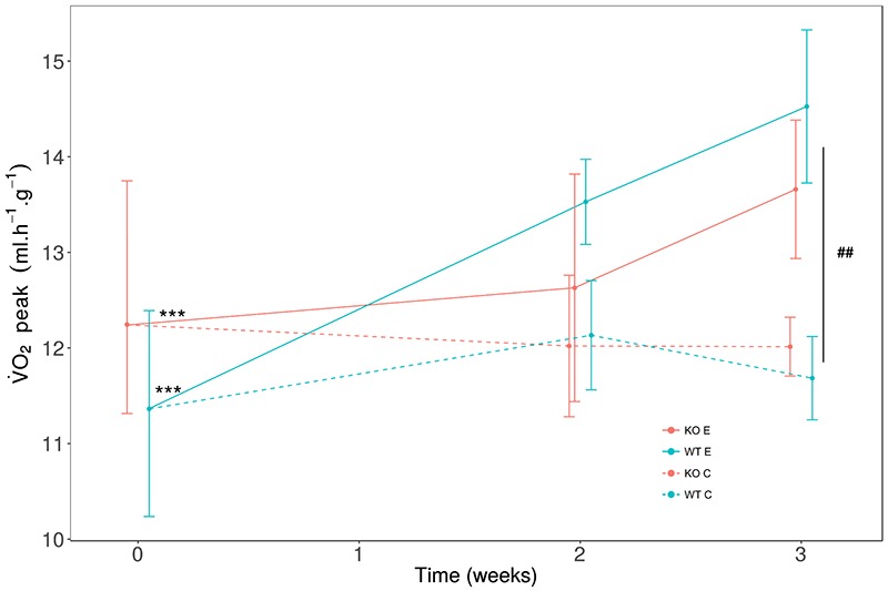 Fig 3.