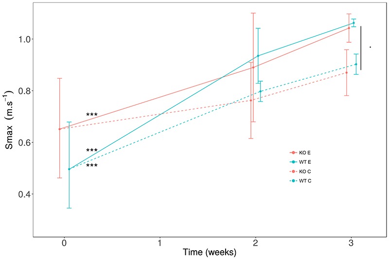 Fig 2.