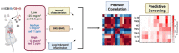 Graphical abstract