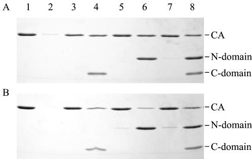 FIG. 9.