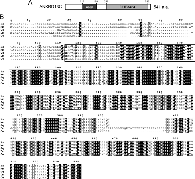 FIGURE 1.