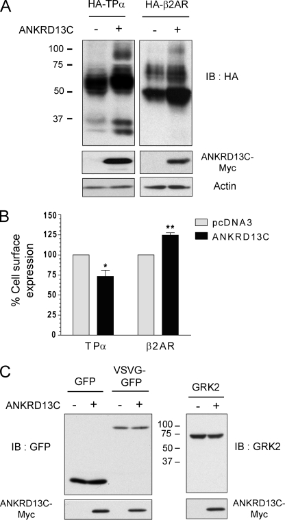 FIGURE 10.