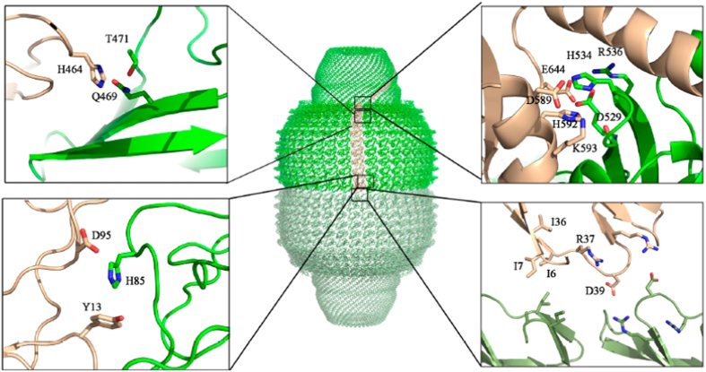 Figure 5