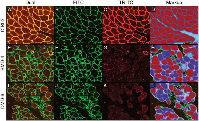 Figure 3.