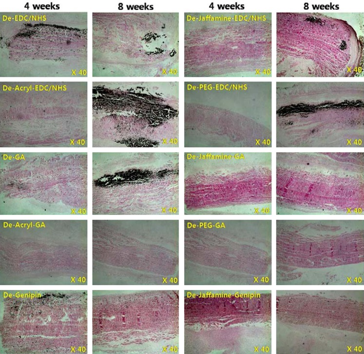 FIG. 6.