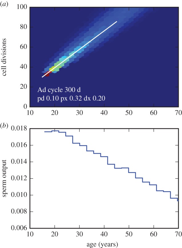 Figure 7.