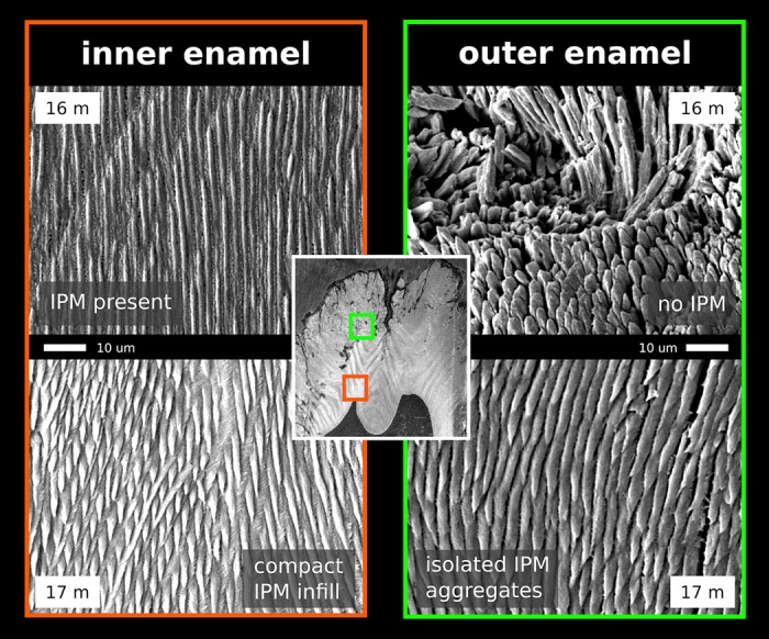 Fig 10