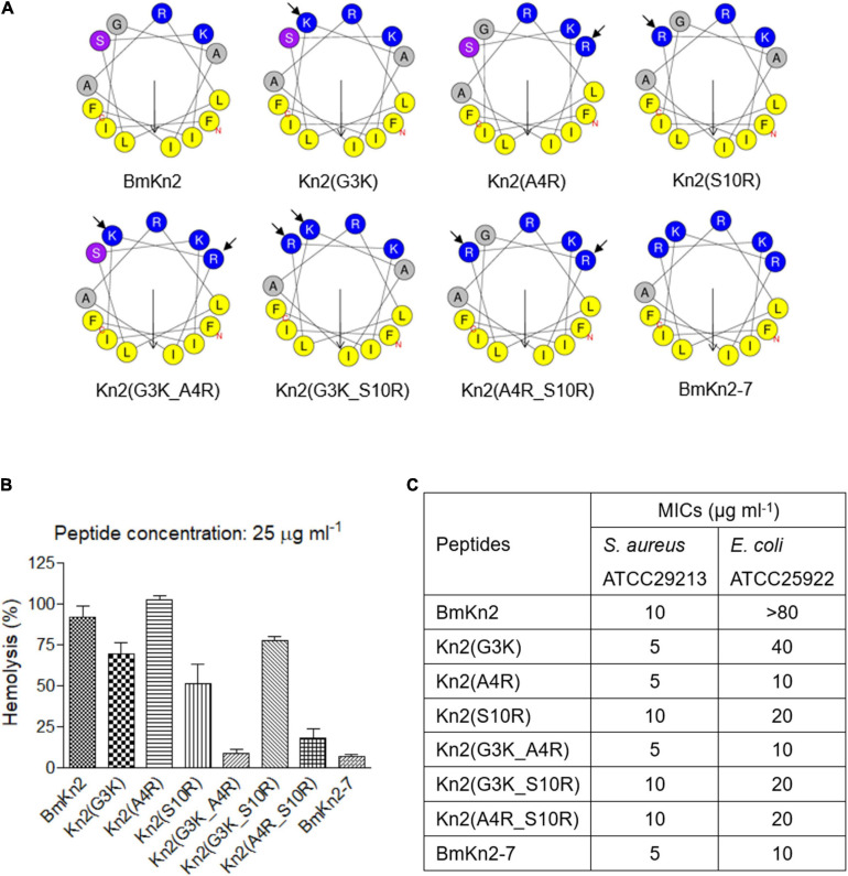 FIGURE 2