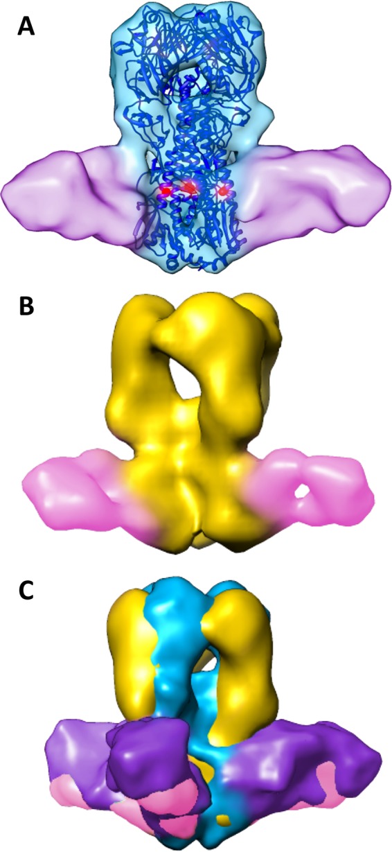 FIG 5 