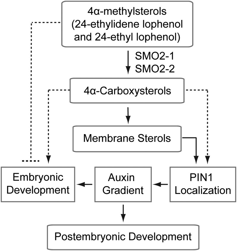 Figure 11.