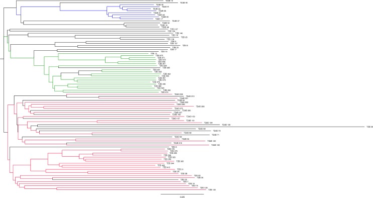 Fig 3