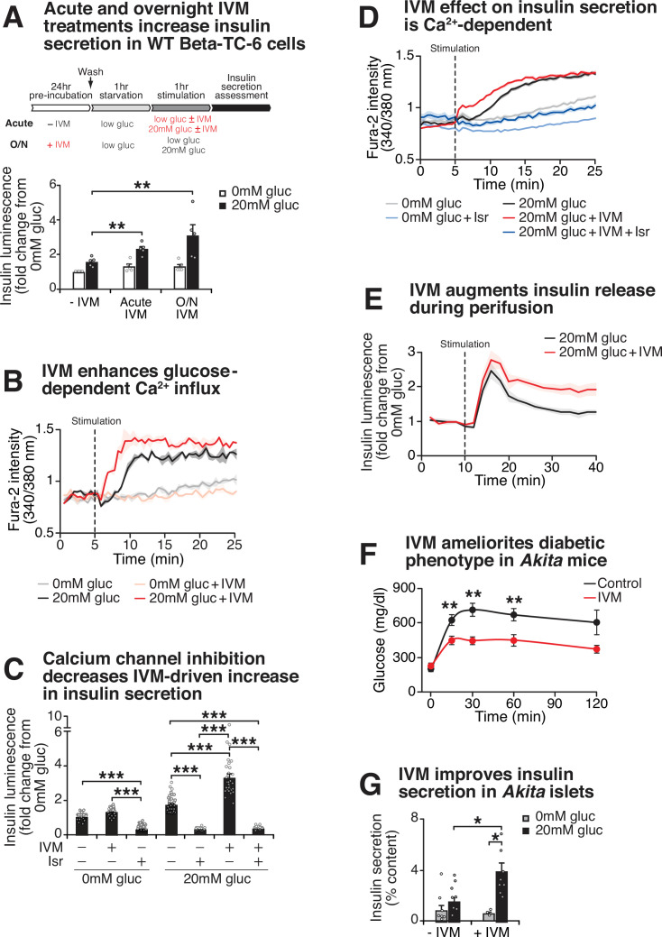 Figure 3—figure supplement 1.