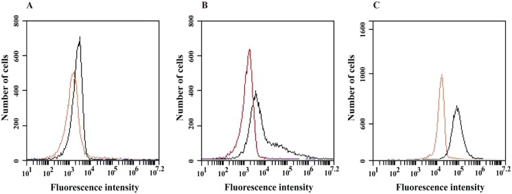 Fig 8